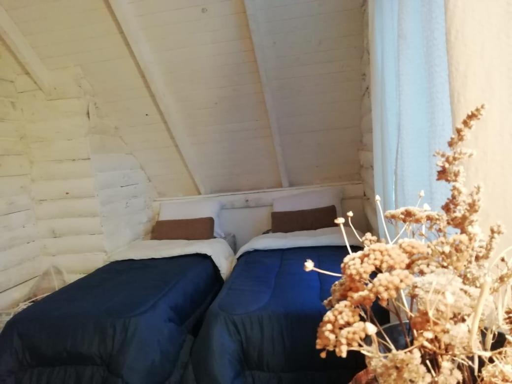 Cabana Azul Trevelín Esterno foto